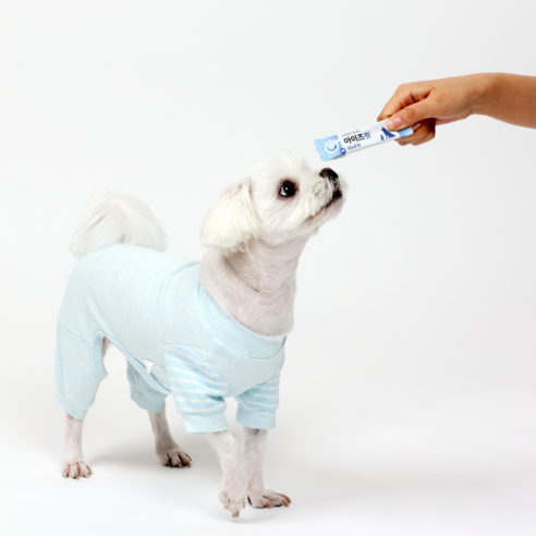 눈물 자국, 냄새 걱정 없는 건강한 눈! 바이오핏 강아지 눈 영양제로 시작하세요.