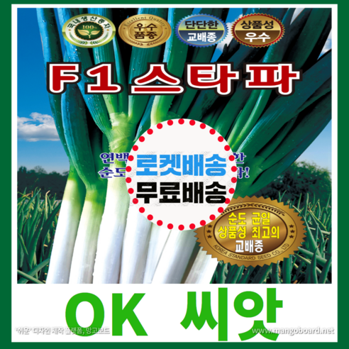 [OK씨앗] [F1스타파] 파씨앗 종자(오케이씨앗), 1개
