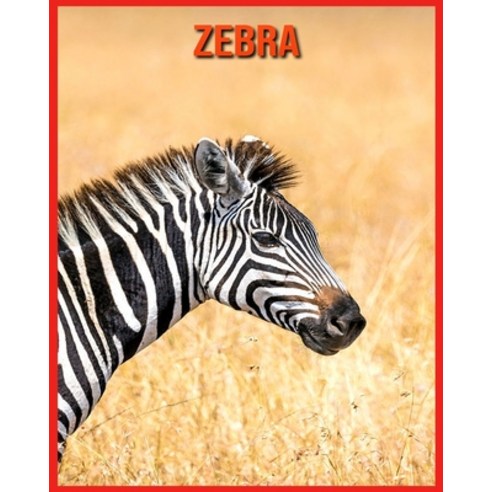 Zebra: Erfahre mehr über Zebra und freue dich an den farbenfrohen Bildern Paperback, Independently Published, English, 9798598234891