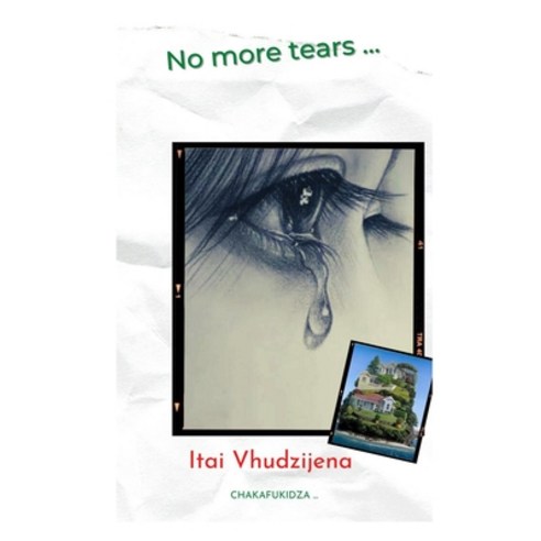 No More Tears Paperback, Anetida Investments, English, 9781990239076