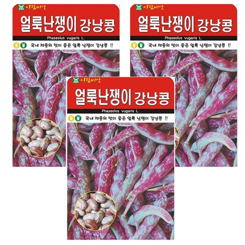 얼룩난쟁이강낭콩 씨앗 씨, 3개