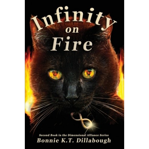 Infinity on Fire Paperback, Bonnie K.T. Dillabough, English, 9781736780619