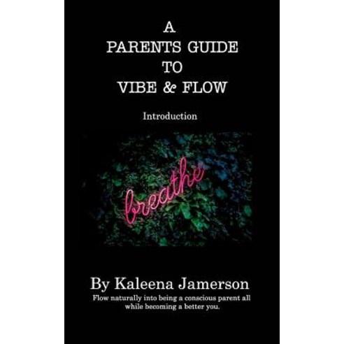 A Parent''s Guide To Vibe and Flow Paperback, Blurb, English, 9780368164347