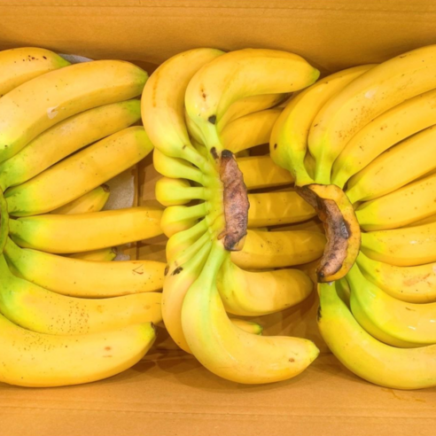 [물가안정찾기] 고당도 바나나 대용량 수입 2.5kg~14kg, 수입바나나 5수 1박스