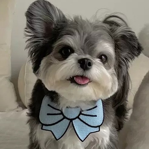 애완동물 애견 애묘 생일파티 리본 타이 빕 강아지 고양이 케이프 나비넥타이 사진 촬영 소품, 1개, 스카이블루S