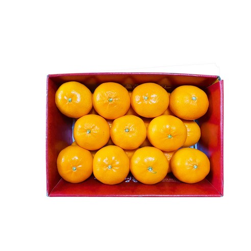 상품 이미지 5