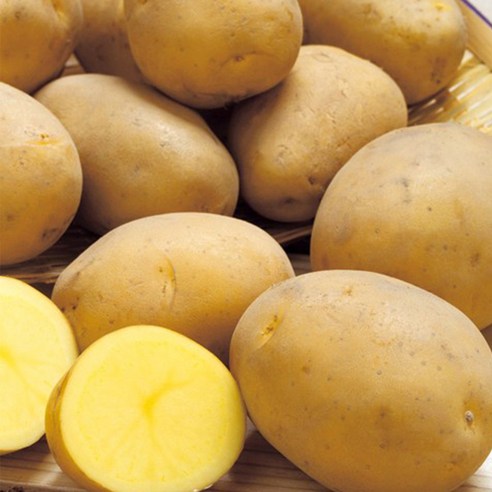 포슬포슬 맛있는 감자 21년 햇감자 경북 수미감자 특가판매, 1box, 경북 수미감자 특 (120g~140g내외)  8kg