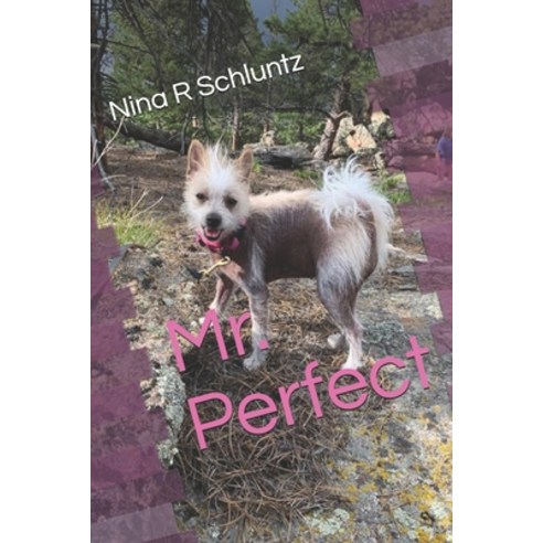 Mr. Perfect Paperback, Independently Published, English, 9798578182396