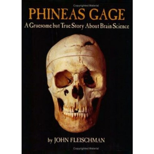 Phineas Gage:A Gruesome but True Story About Brain Science, Clarion Books