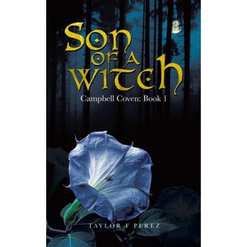 (영문도서) Son of a Witch Paperback, Tellwell Talent, English, 9780228874416