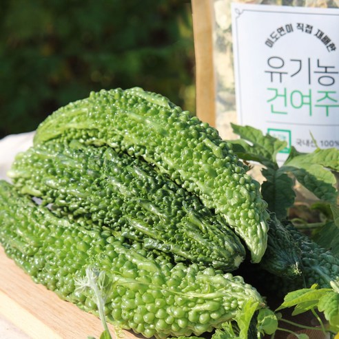 [여주농장] 국내산 햇 말린여주 전북 정읍 유기농 건여주, 1개, 600g