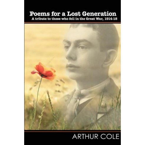 Poems for a Lost Generation Paperback, Wordcatcher Publishing