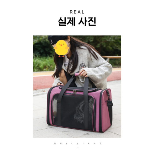 가려거든 강아지 고양이 간편외출 이동가방, 1개, 핑크