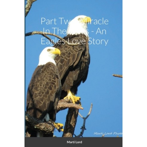 (영문도서) Part Two: Miracle In The Pines - An Eagles Love Story Paperback, Lulu.com, English, 9781794827417