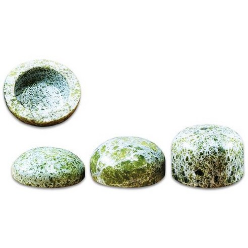 자연의 아름다움으로 특별한 만찬을 완성하세요