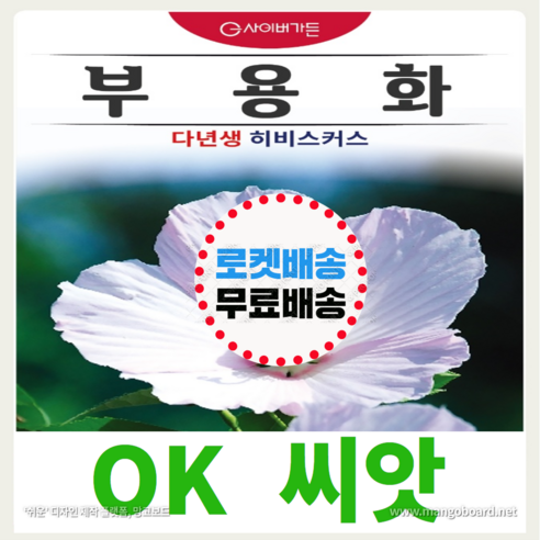 [OK씨앗] [부용화] 부용씨앗 종자(오케이씨앗), 1g.