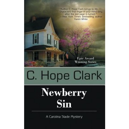 (영문도서) Newberry Sin Hardcover, Bell Bridge Books, English, 9781611949377
