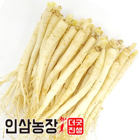 인삼 수삼 금산인삼 세척 원수삼 더굿진생, 1개, 세척인삼450g(34~41뿌리)