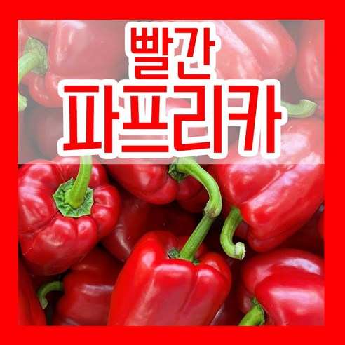 다양한 채소 씨앗 모음, 오이, 고추, 피망, 가지, 토마토 등, 파종재배 19종세트, 10립, 1개 백오이