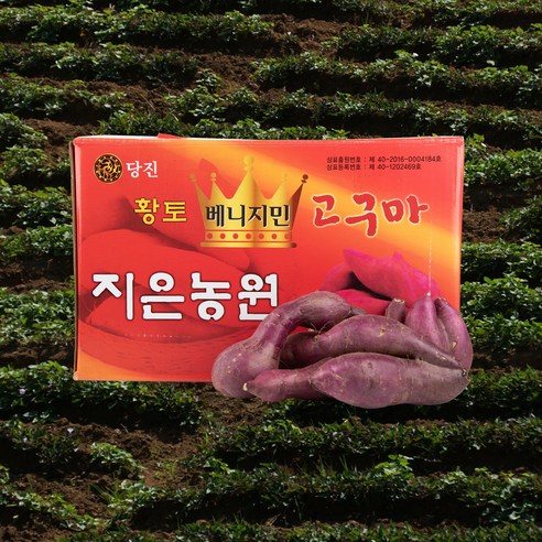 못난이 베니지민 꿀고구마, 그 맛의 진정성을 알아보자 베니지민고구마