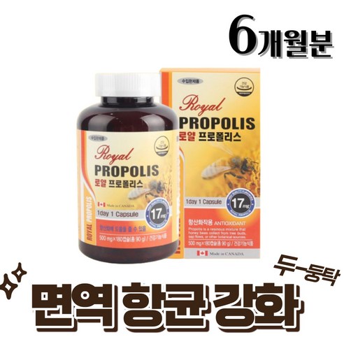 마른 기침 가래 천연 항생제 구내염에 염증에 좋은 영양제 만성염증 목에좋은 약 6달분 프로폴리스아연c, 180정, 1개
