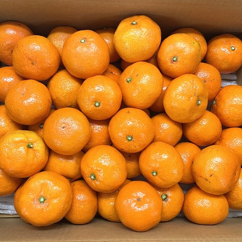 룰루네상점 제주 비가림 감귤 1.5kg 소포장 하우스귤 고당도 감귤, 꼬마(2S미만), 1개