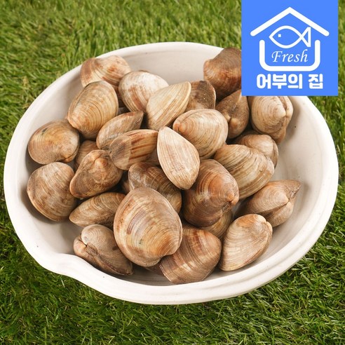 제철 해감 백생합 생합 백합 조개 백상합 1kg, 1.백상합 소 1kg, 1개