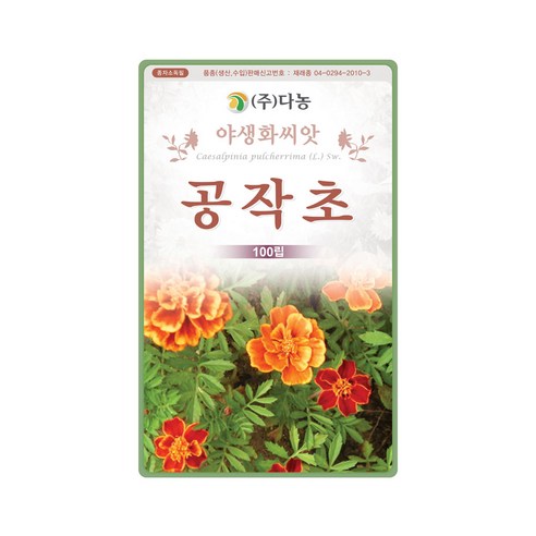 꽃씨앗 공작초 100립 야생화 씨앗 종자 혼합색, 1개