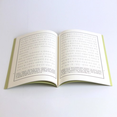 마음속의 평화를 찾는 여정