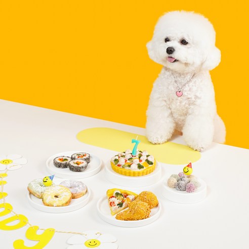 까까묵자 수제 케이크로 우리 강아지 생일을 더욱 특별하게!