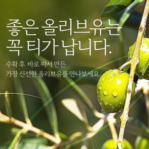 프리미엄 냉압착 올리브유로 건강과 맛을 모두 챙기세요