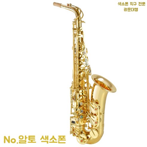 합리적인 가격으로 시작하는 나만의 색소폰 연주, 힐링을 선물하세요!