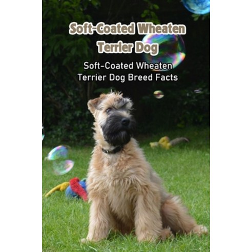 (영문도서) Soft-Coated Wheaten Terrier Dog: Soft-Coated Wheaten Terrier Dog Breed Facts: Soft-Coated Whe... Paperback, Independently Published, English, 9798462633522