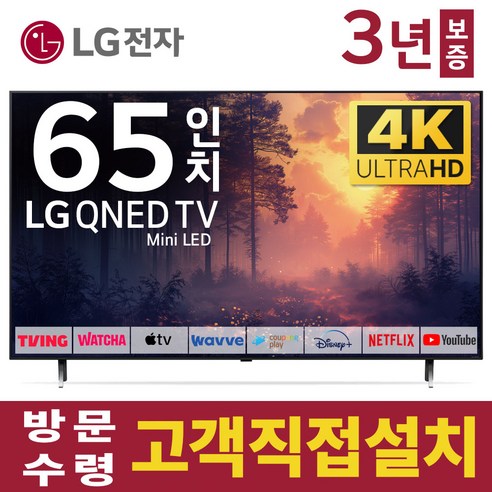 LG전자 65인치 TV QNED 4K 스마트 Mini LED 티비 65QNED83 넷플릭스 유튜브 디즈니 미러링, 방문설치, 벽걸이형