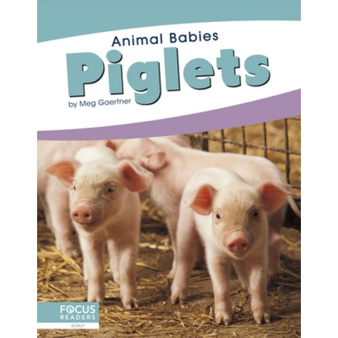 Piglets Library Binding, Focus Readers, English, 9781641857499