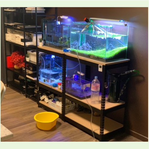 피피랙 3단 어항 선반: 당신의 수중 세계를 위한 완벽한 선택