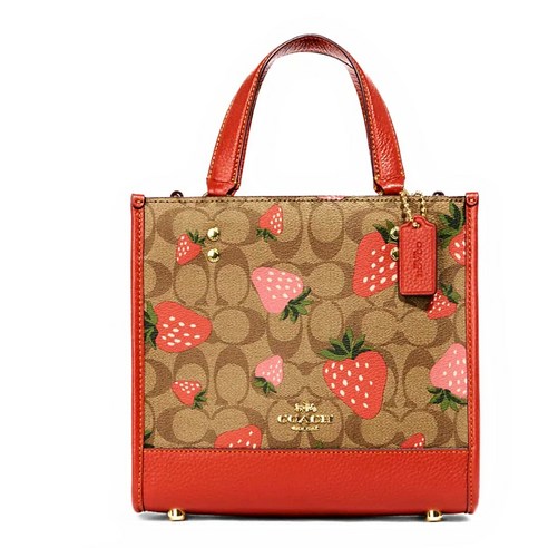 코치 뎀프시 딸기 토트백 22 시그니처 캔버스
