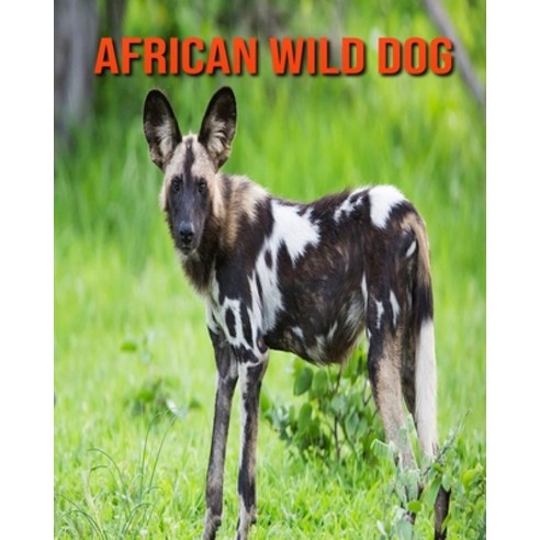African Wild Dog: Amazing Pictures and Facts About African African Wild Dog Paperback, Independently Published