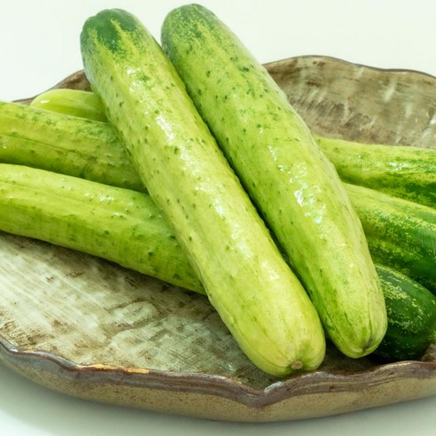 백오이 국내 오이 소박이 다다가 오이지 피클, 1kg