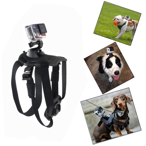 개 하네스 가슴스트랩 GoPro Hero 9 8 7 6 5 4 세션 Sjcam Sj4000 Yi 4K Eken H9r DJI 액션카메라 액세서리, 001 고프로가슴 개 하네스 가슴스트랩 GoPro Hero 9 8 7 6 5 4 세션 Sjcam Sj4000 Yi 4K Eken H9r DJI 액션카메라 액세서리, 001 고프로가슴