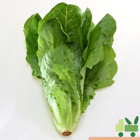 사라상회 통로메인 6Kg