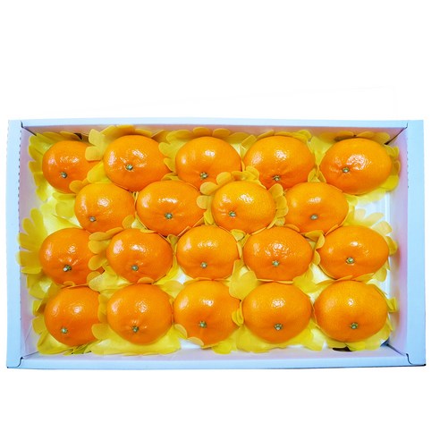 상품 이미지 4