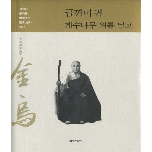 樸富英 金烏飛越桂樹 佛教報紙 9788996013648