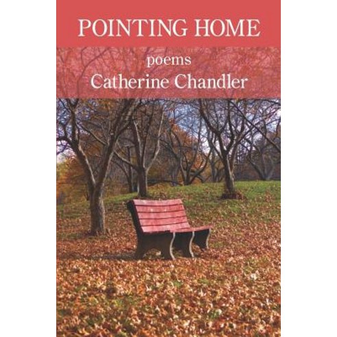 Pointing Home Paperback, Kelsay Books