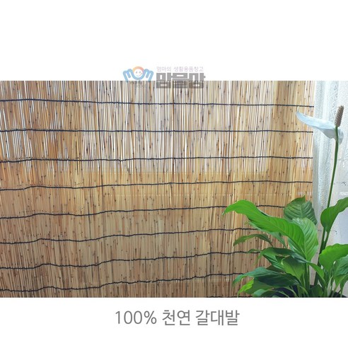 자연을 담은 갈대발, 당신의 공간에 쉼을 더하다