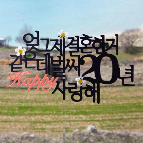 스프링데일 결혼 기념일 20주년 여행 부부 토퍼: 특별한 날을 더욱 빛내는 매력적인 장식품