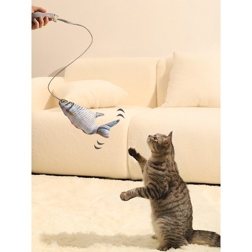 고양이의 마음을 사로잡는 최적의 장난감