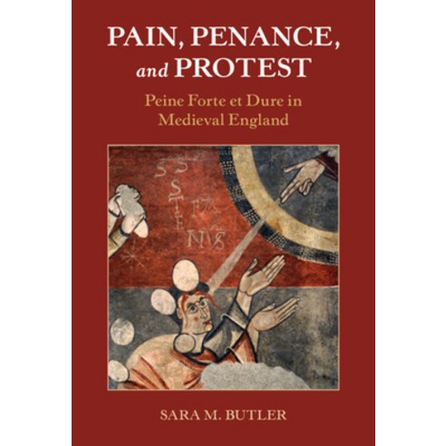 (영문도서) Pain Penance and Protest Hardcover, Cambridge University Press, English, 9781316512388