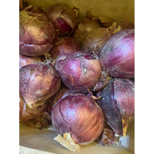 무안 자색양파 2kg 5kg 깐양파 적양파 흙양파 1박스 무안 자색양파 2kg 5kg 깐양파 적양파 흙양파 1박스