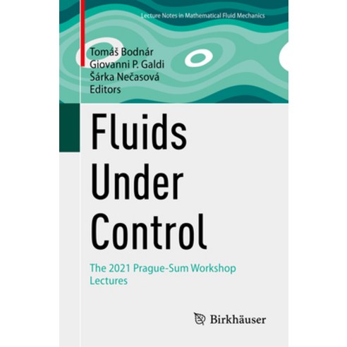 (영문도서) Fluids Under Control: The 2021 Prague-Sum Workshop Lectures Paperback, Birkhauser, English, 9783031276248